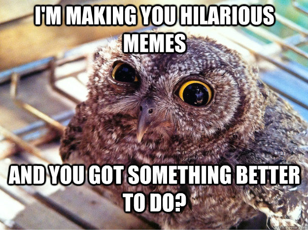 I'm making you hilarious memes and you got something better to do? - I'm making you hilarious memes and you got something better to do?  Skeptical Owl