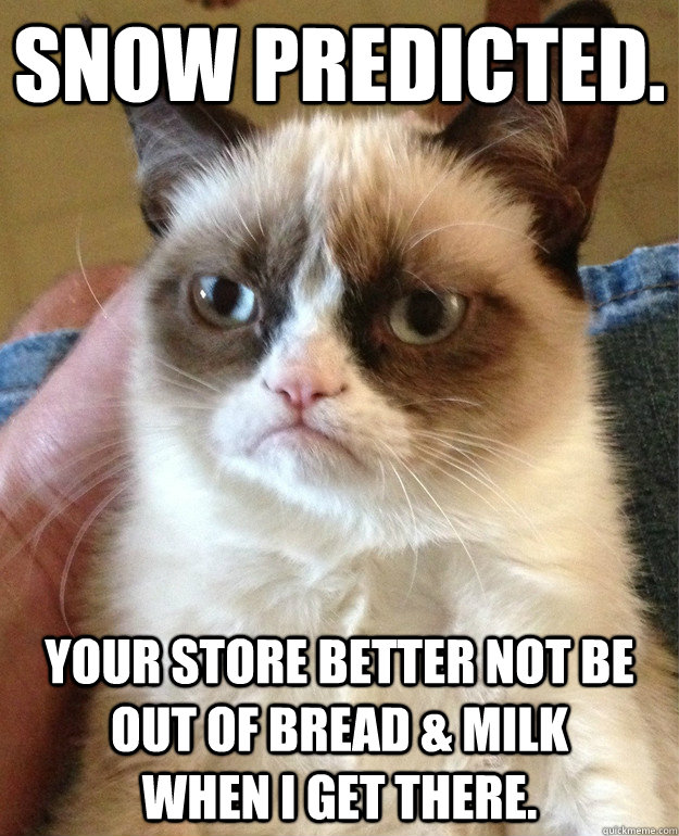 Snow predicted. Your store better not be out of bread & milk            when i get there. - Snow predicted. Your store better not be out of bread & milk            when i get there.  Misc