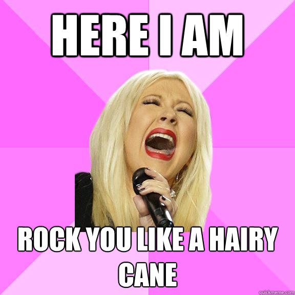 Here I am Rock you like a hairy cane  Wrong Lyrics Christina