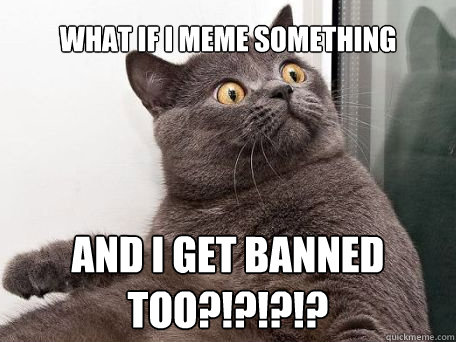 What if I meme something and I get banned too?!?!?!?  conspiracy cat