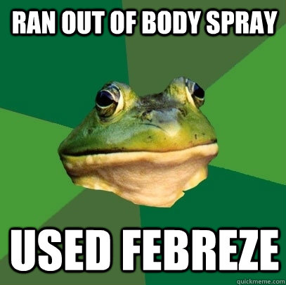 RAN OUT OF BODY SPRAY  USED FEBREze  Foul Bachelor Frog