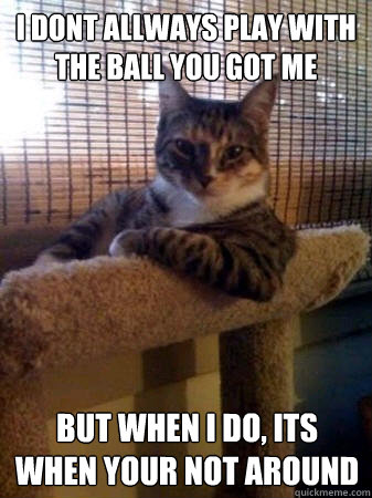 i dont allways play with the ball you got me but when i do, its when your not around  The Most Interesting Cat in the World