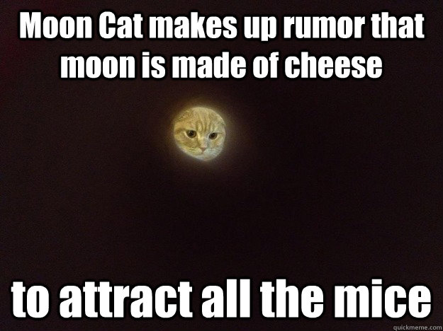 Moon Cat makes up rumor that moon is made of cheese to attract all the mice  Moon Cat