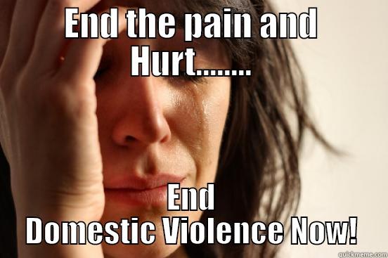 END THE PAIN AND HURT........ END DOMESTIC VIOLENCE NOW! First World Problems