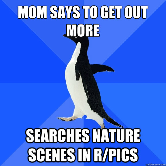 mom says to get out more searches nature scenes in r/pics  Socially Awkward Penguin