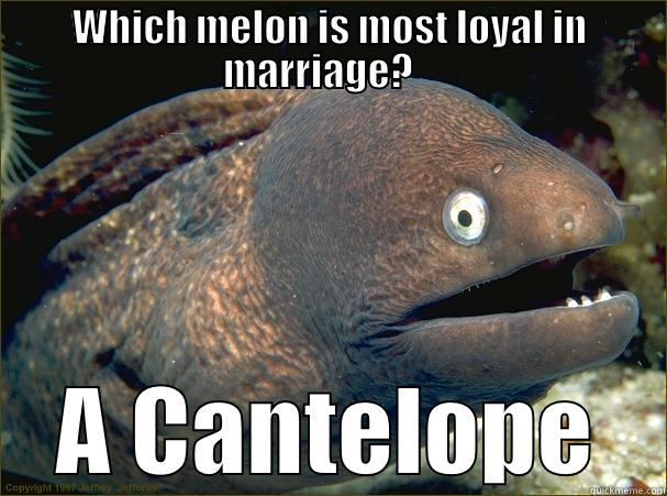 WHICH MELON IS MOST LOYAL IN MARRIAGE?    A CANTELOPE Bad Joke Eel