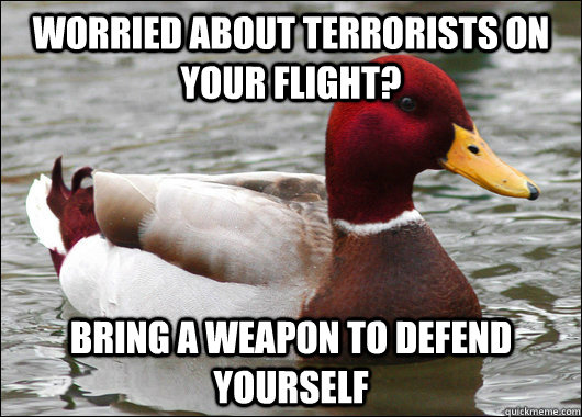 Worried about terrorists on your flight? Bring a weapon to defend yourself  Malicious Advice Mallard