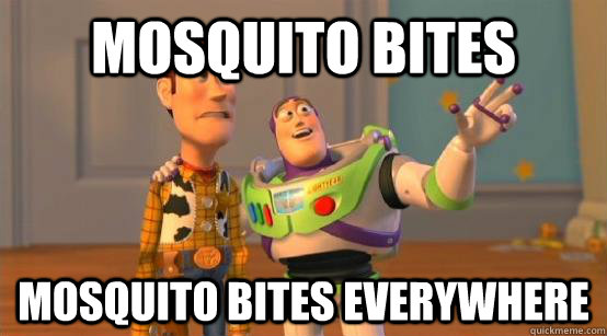 Mosquito bites Mosquito bites everywhere  Buzz Glitter