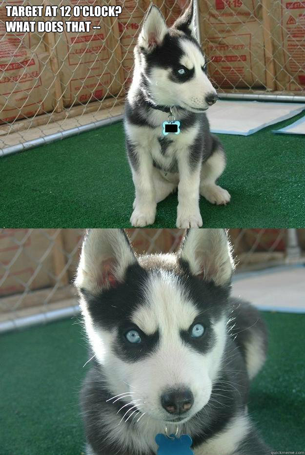 Target at 12 o'clock? 
what does that --   Insanity puppy