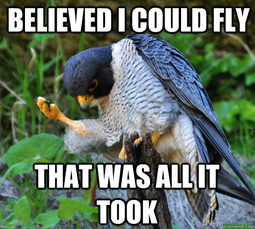 Believed I could fly That was all it took - Believed I could fly That was all it took  Success Falcon