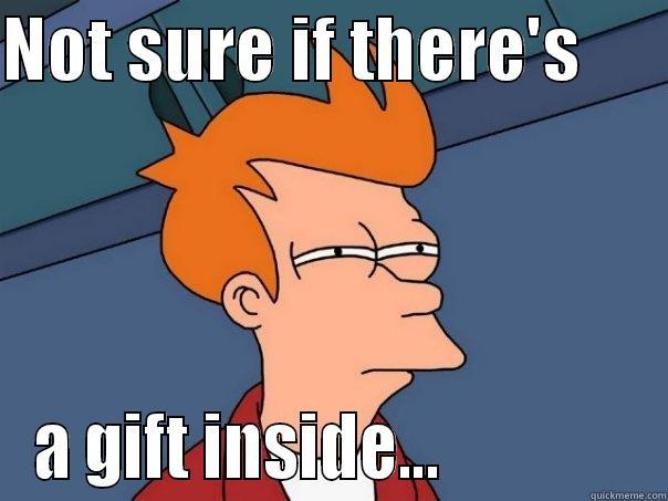 NOT SURE IF THERE'S       A GIFT INSIDE...               Futurama Fry