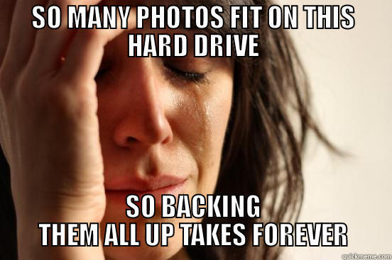 SO MANY PHOTOS FIT ON THIS HARD DRIVE SO BACKING THEM ALL UP TAKES FOREVER First World Problems