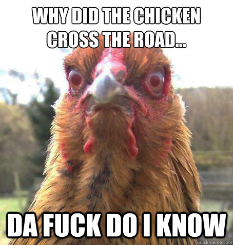 Why did the chicken cross the road... da fuck do i know  RageChicken
