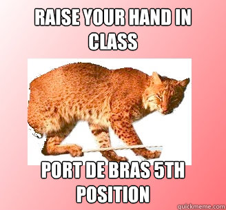 Raise your hand in class port de bras 5th position  Ballerina Bobcat