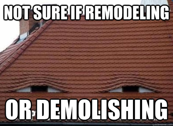 Not sure if remodeling Or demolishing - Not sure if remodeling Or demolishing  Skeptical House