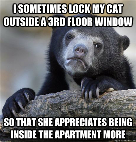 I sometimes lock my cat outside a 3rd floor window so that she appreciates being inside the apartment more  Confession Bear