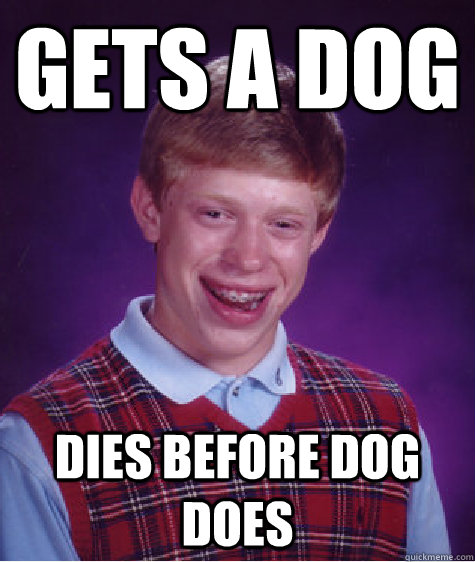 Gets a dog Dies before dog does - Gets a dog Dies before dog does  Unlucky Brian