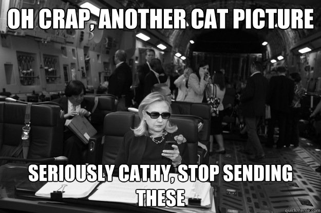 Oh crap, another cat picture Seriously Cathy, stop sending these  