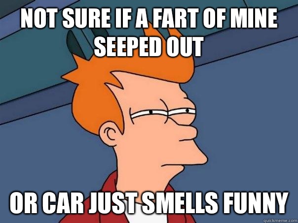 Not sure if a fart of mine seeped out Or car just smells funny  Futurama Fry