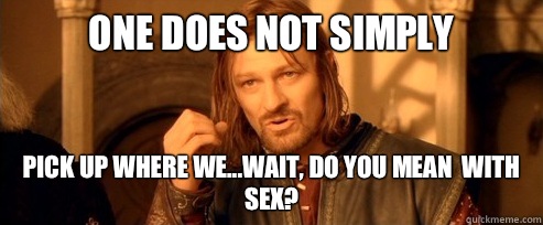 One does not simply Pick up where we...wait, do you mean  with sex?  One Does Not Simply