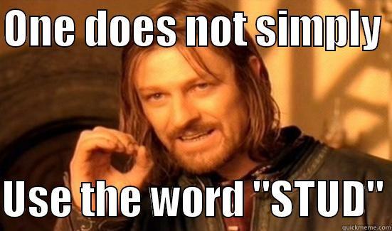 ONE DOES NOT SIMPLY   USE THE WORD 