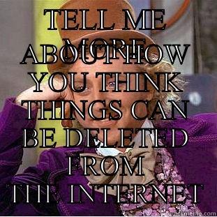TELL ME MORE ABOUT HOW YOU THINK THINGS CAN BE DELETED FROM THE INTERNET Condescending Wonka