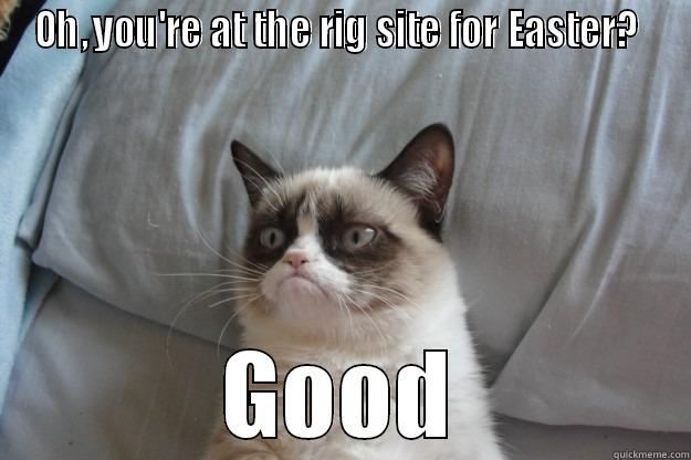Grumpy cat on Easter - OH, YOU'RE AT THE RIG SITE FOR EASTER?  GOOD Grumpy Cat