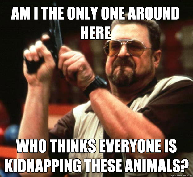 Am I the only one around here Who thinks everyone is kidnapping these animals?  Walter