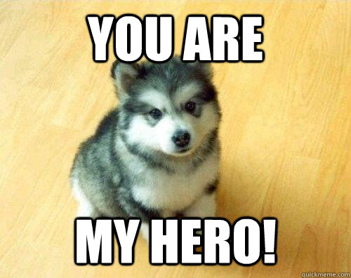 You are my hero!  Baby Courage Wolf