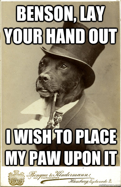 benson, lay your hand out i wish to place my paw upon it  Old Money Dog