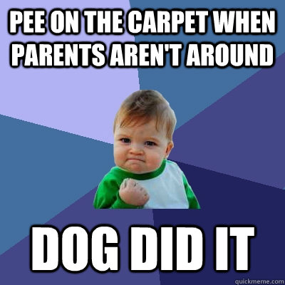 Pee on the carpet when parents aren't around Dog did it  Success Kid