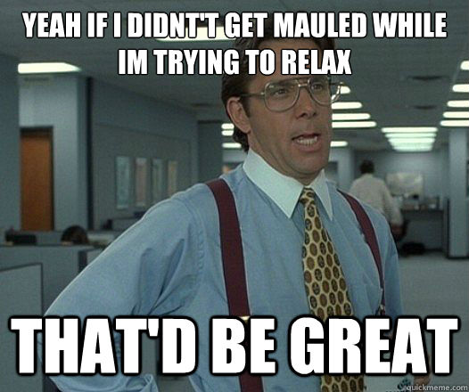 Yeah If i didnt't get mauled while im trying to relax that'd be great  Scumbag boss