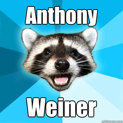 Anthony Weiner  Lame Pun Coon