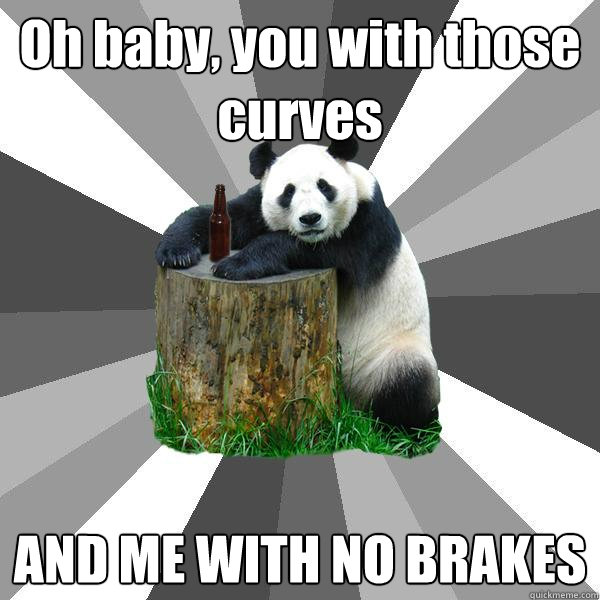 Oh baby, you with those curves AND ME WITH NO BRAKES - Oh baby, you with those curves AND ME WITH NO BRAKES  Pickup-Line Panda