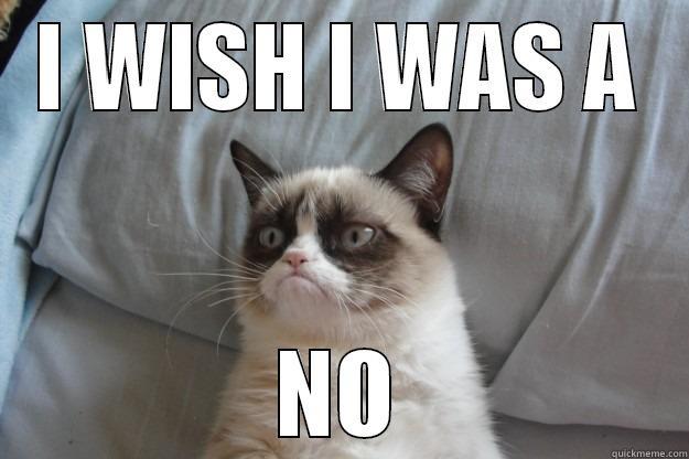 Cindy  - I WISH I WAS A NO Grumpy Cat