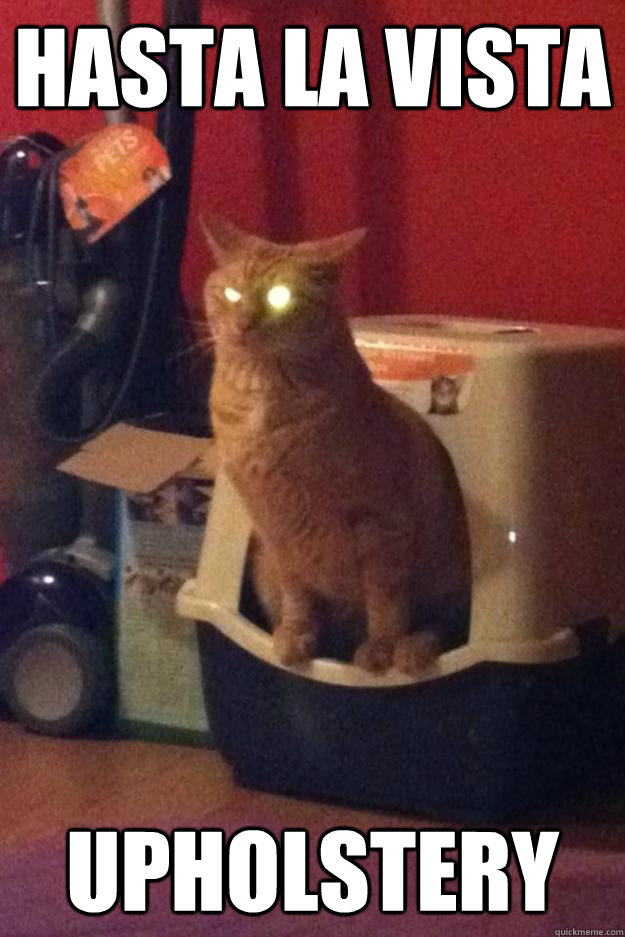 Hasta La Vista Upholstery  Terminator Cat