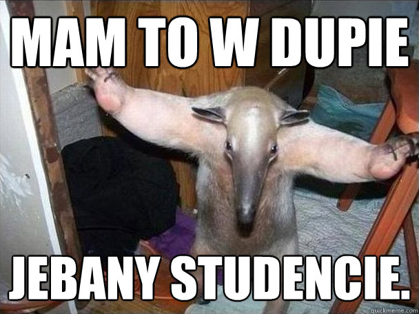 Mam to w dupie Jebany studencie. - Mam to w dupie Jebany studencie.  I got this