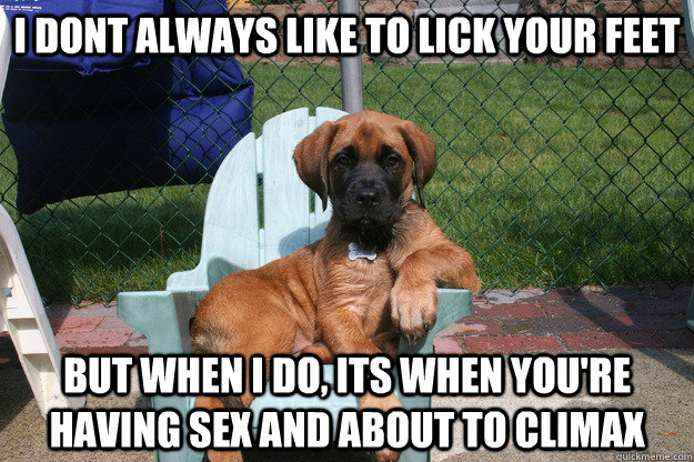 i dont always like to lick your feet but when i do, its when you're having sex and about to climax  The Most Interesting Dog in the World