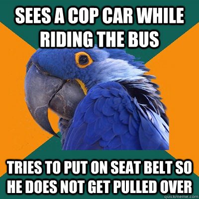 Sees a cop car while riding the bus Tries to put on seat belt so he does not get pulled over  Paranoid Parrot