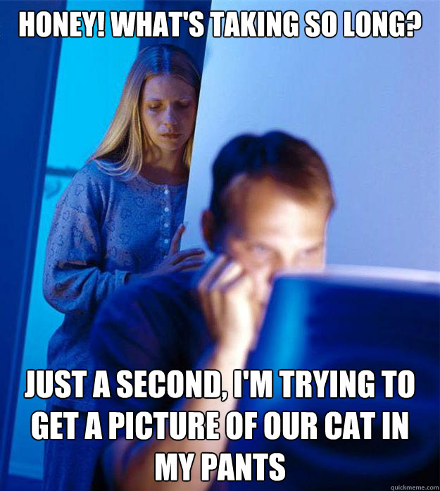 honey! what's taking so long? just a second, i'm trying to get a picture of our cat in my pants  Redditors Wife