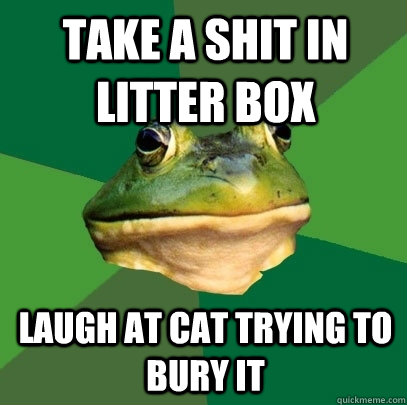 Take a shit in litter box laugh at cat trying to bury it  Foul Bachelor Frog