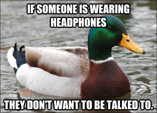 If someone is wearing headphones They don't want to be talked to. - If someone is wearing headphones They don't want to be talked to.  Actual Advice Mallard