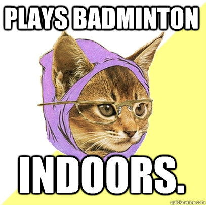 plays badminton indoors.  Hipster Kitty