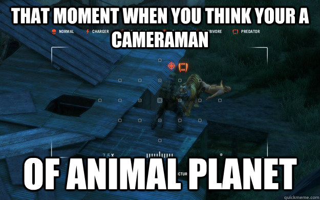 That moment when you think your a cameraman of animal planet  