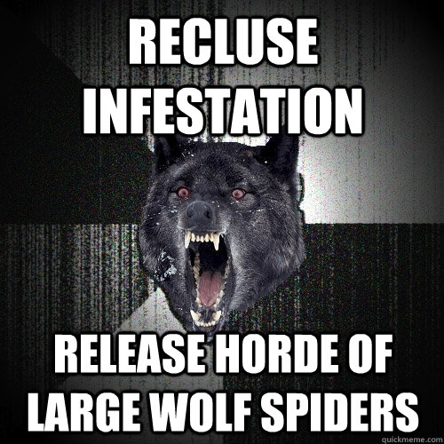 Recluse infestation release horde of large wolf spiders  Insanity Wolf