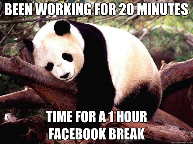 BEEN WORKING FOR 20 MINUTES TIME FOR A 1 HOUR 
FACEBOOK BREAK - BEEN WORKING FOR 20 MINUTES TIME FOR A 1 HOUR 
FACEBOOK BREAK  Procrastination Panda