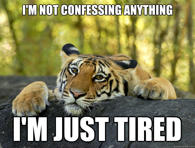 I'm not confessing anything i'm just tired - I'm not confessing anything i'm just tired  Confession Tiger