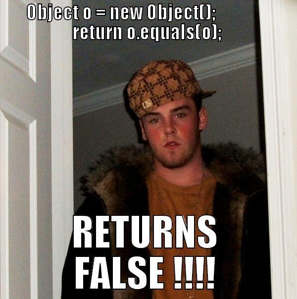 OBJECT O = NEW OBJECT();                RETURN O.EQUALS(O); RETURNS FALSE !!!! Scumbag Steve