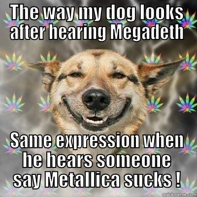 THE WAY MY DOG LOOKS AFTER HEARING MEGADETH SAME EXPRESSION WHEN HE HEARS SOMEONE SAY METALLICA SUCKS ! Stoner Dog