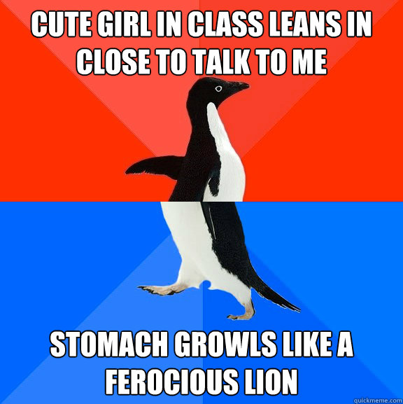 Cute girl in class leans in close to talk to me Stomach growls like a ferocious lion   Socially Awesome Awkward Penguin